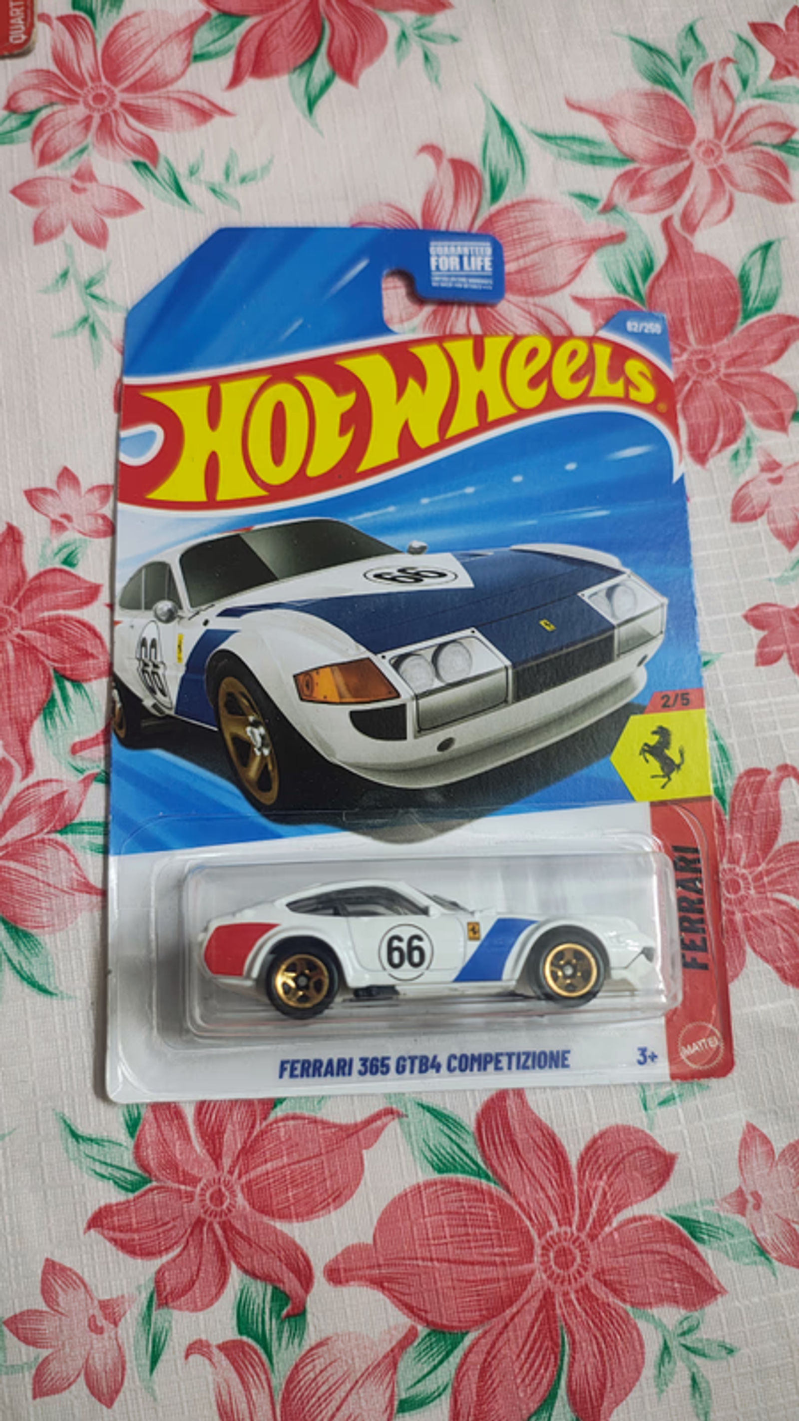 Hotwheels Ferrari 365 GTB4 Competizone White 2026  | US Imported - Main View 1